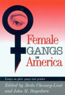 Image for Female Gangs in America