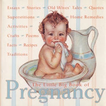 Image for The Little Big Book of Pregnancy