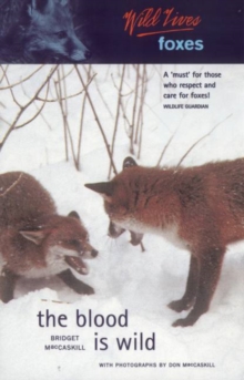Image for Foxes  : the blood is wild
