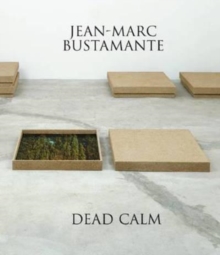Image for Jean Marc Bustamante - Dead Calm