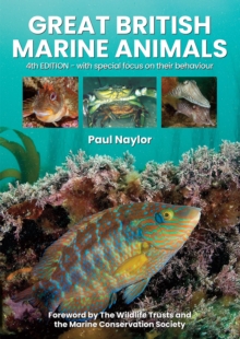 Great British Marine Animals