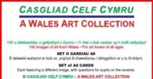 Image for A Wales Art Collection / Casgliad Celf Cymru