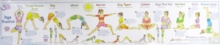 Image for Yoga Practice Wall Chart