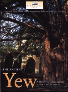 Image for The Ancient Yew