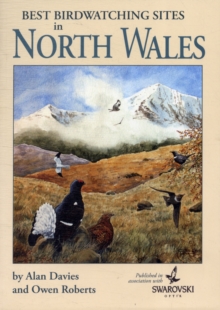 Image for Best Birdwatching Sites in North Wales