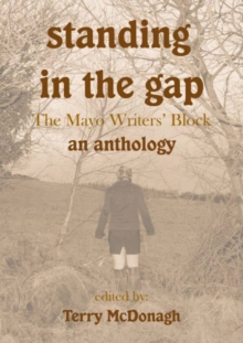Image for Standing in the Gap - the Mayo Writers' Block