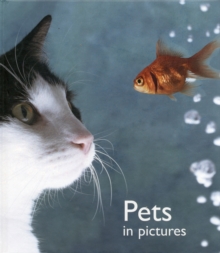 Image for Pets in Pictures