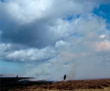 Image for Setting the Fell on Fire - Allenheads Contemporary Arts