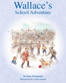Image for Wallace's School Adventure