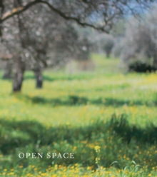 Image for Open Space