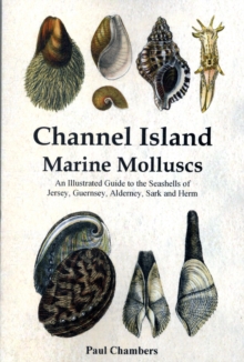 Image for Channel Island Marine Molluscs : An Illustrated Guide to All the Species from Jersey, Guernsey, Alderney, Sark and Herm