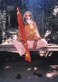 Image for Dandi Swami : The Story of the Guru's Will, Maharishi Mahesh Yogi, the Shankaracharyas of Jyotir Math, & Meetings with Dandi Swami Narayananand Saraswati.