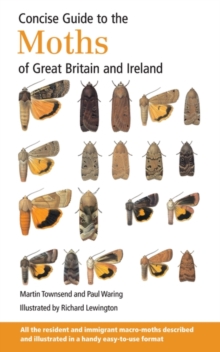 Image for Concise Guide to the Moths of Great Britain and Ireland