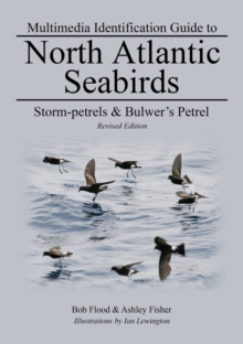 Image for Storm-petrels & Bulwer's Petrel: North Atlantic Seabirds