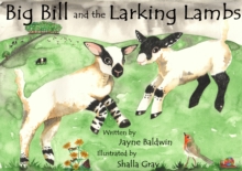 Image for Big Bill and the Larking Lambs