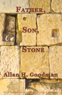 Image for Father, Son, Stone