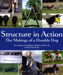 Image for Structure in Action