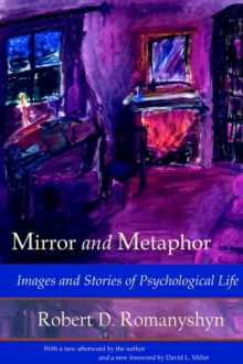 Image for Mirror and Metaphor