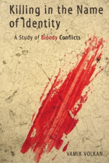 Image for Killing in the Name of Identity : A Study of Bloody Conflicts