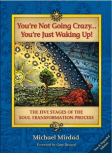 Image for You're Not Going Crazy...You're Just Waking Up!: The Five Stages of Soul Transformation Process