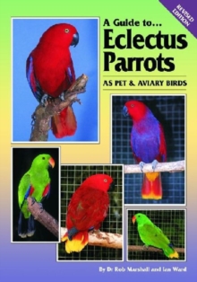 Image for Eclectus Parrots as Pet and Aviary Birds