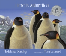 Image for Here Is Antarctica