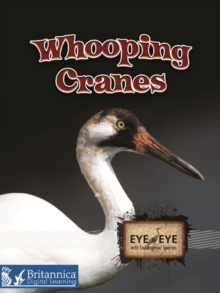 Image for Whooping cranes