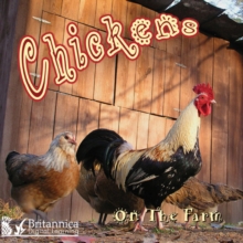 Image for Chickens on the farm