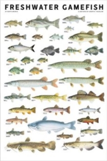 Image for Freshwater Gamefish of North America Poster