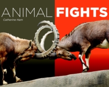 Animal Fights