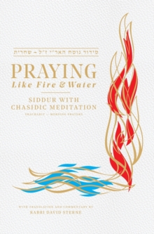 Image for Praying like Fire and Water