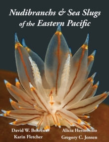Image for Nudibranchs & Sea Slugs of the Eastern Pacific