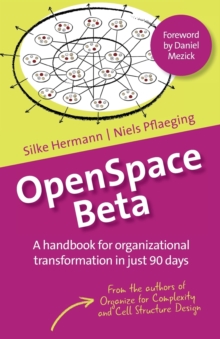 Image for OpenSpace Beta