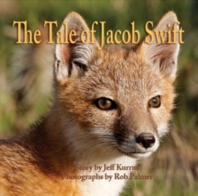 Image for The Tale of Jacob Swift