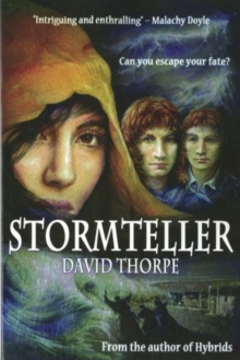 Image for Stormteller