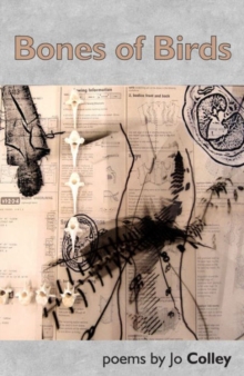 Bones of Birds