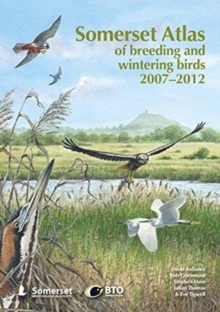 Image for Somerset Atlas of Breeding and Wintering Birds 2007-2012