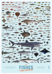 Fishes of New Zealand Poster