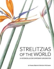 Strelitzias of the world: A historical & contemporary exploration