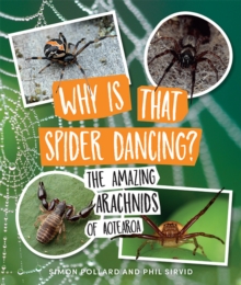 Why Is That Spider Dancing?: The Amazing Arachnids of Aotearoa