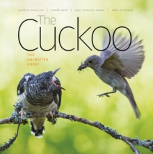 Image for The Cuckoo