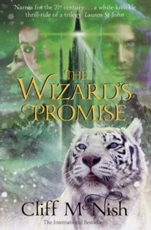 Image for The wizard's promise