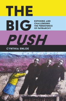 Image for The big push  : exposing and challenging sustainable patriarchy