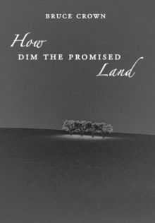 Image for How Dim the Promised Land