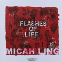 Flashes Of Life