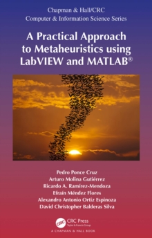 Image for A practical approach to metaheuristics using labVIEW and MATLAB