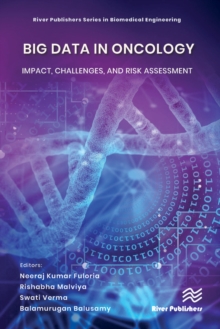Image for Big Data in Oncology: Impact, Challenges, and Risk Assessment