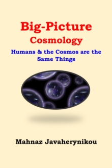 Image for Big Picture Cosmology; Humans and the Cosmos Are the Same Things