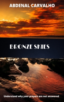 Image for Bronze Skies