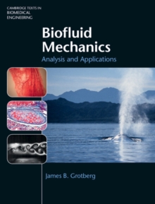 Image for Biofluid Mechanics: Analysis and Applications